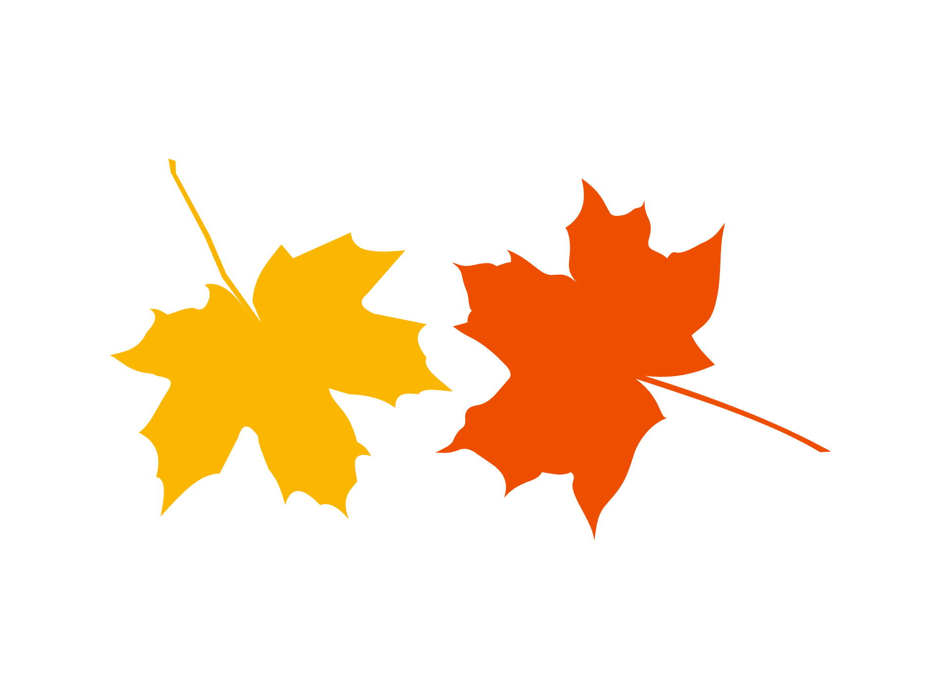 Blog　紅葉シーズン